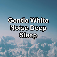 Fan Sounds - Gentle White Noise Deep Sleep
