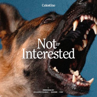Celestino - Not Interested