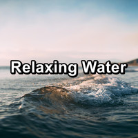 Melody of Nature - Relaxing Water