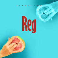 DJ Romy - Reg (Raboday [Explicit])