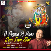 Anup Jalota - O Pinjare Ki Maina Ram Ram Bol