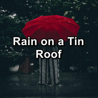 Soothing Nature Sounds - Rain on a Tin Roof