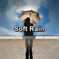 Sleep Tribe - Soft Rain