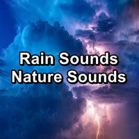 Baby Rain - Rain Sounds Nature Sounds
