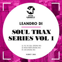 Leandro Di - Soul Trax Series Vol 1