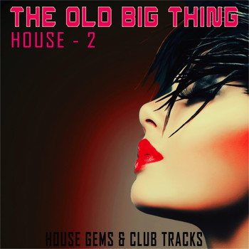 Various Artists - The Old Big Thing: House 2 (House Gems & Club Tracks)