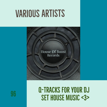 Peter Brown - Q-TRACKS FOR YOUR DJ SET HOUSE MUSIC 3