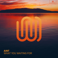Aint - What You Waiting For