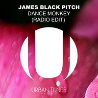 James Black Pitch - Dance Monkey (Radio Edit)