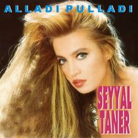 Seyyal Taner - Alladı Pulladı