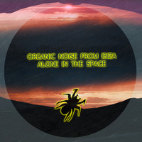 Organic Noise From Ibiza - Alone in the Space