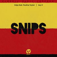 snips - Say It (feat. Pauline Taylor)