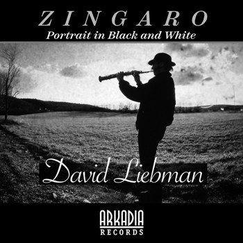 Dave Liebman - Zingaro (Portrait in Black  and White) (feat. Vic Juris, Tony Marino, Jamey Haddad & Café)