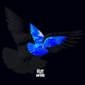 Blue w3rD, DJ Sylo - AZUL(International Blue) (Explicit)