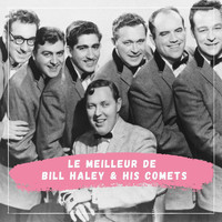 Bill Haley and his Comets - Le Meilleur de Bill Haley & His Comets