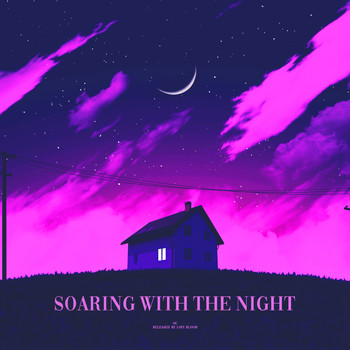 OC - soaring with the night