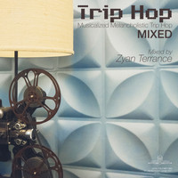 Zyan Terrance - Trip Hop Mixed, Musicalized Melancholistic Trip Hop
