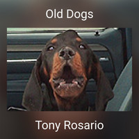 Tony Rosario - Old Dogs