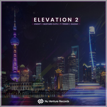 Various Artists - Elevation 2 EP