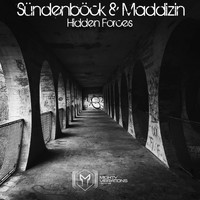 Sündenböck & Maddizin - Hidden Forces