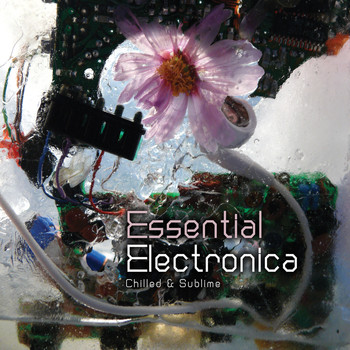Various Artists - Essential Electronica