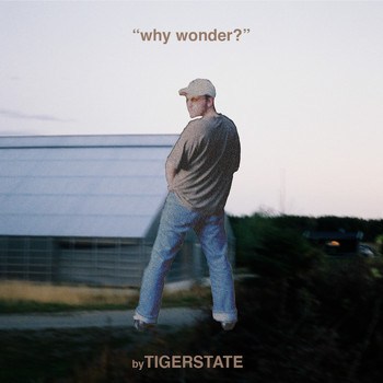 tigerstate - why wonder?