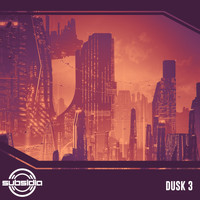 Subsidia and Excision - Subsidia Dusk: Vol. 3 (Explicit)
