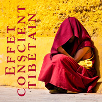 Multi-interprètes - Effet conscient tibétain (Expérience de clarté: Zen bouddhiste, Harmonie mentale, Sensation pure, L'art du bol tibétain)