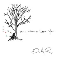 O.A.R. - Only Wanna Love You