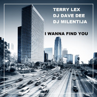 Terry Lex, DJ Dave Dee, DJ Milentija - I Wanna Find You