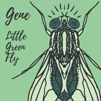 Gene - Little Green Fly