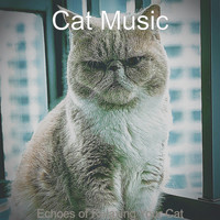 Cat Music - Echoes of Relaxing Your Cat