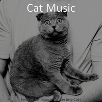 Cat Music - Festive Ambiance for Resting Cats