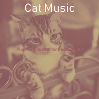 Cat Music - Playful Ambiance for Resting Cats