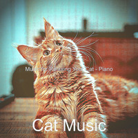 Cat Music - Music for Relaxing Your Cat - Piano
