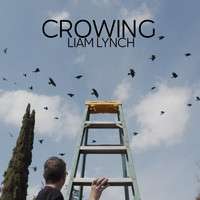 Liam Lynch - Crowing