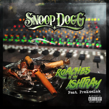 Snoop Dogg - Roaches In My Ashtray (feat. ProHoeZak) (Explicit)