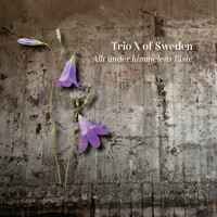 Trio X of Sweden - Allt under himmelens fäste