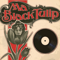 Buddy Holly - Ma Black Tulip
