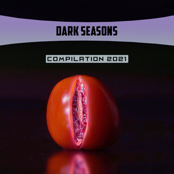 Various Artists - Dark Seasons Compilation 2021
