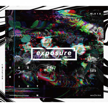Various Artists - Exposure :Glitch