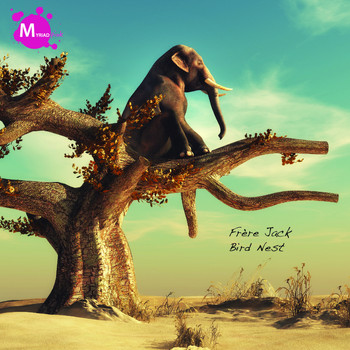 Frère Jack - Bird Nest