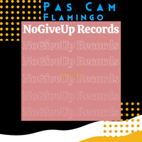Pas Cam - Flamingo