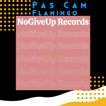 Pas Cam - Flamingo
