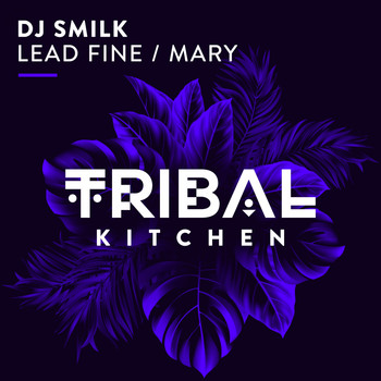 DJ Smilk - Lead Fine / Mary