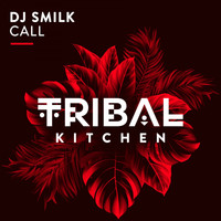 DJ Smilk - Call