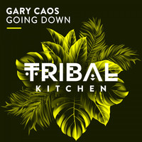 Gary Caos - Going Down
