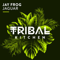 Jay Frog - Jaguar (Radio Edit)
