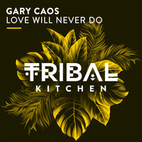 Gary Caos - Love Will Never Do