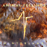 Animal Feelings - Hinterland